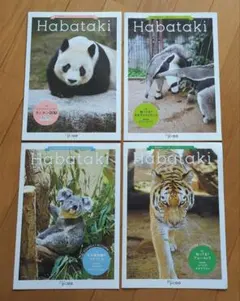 2026年最新】王子動物園 habatakiの人気アイテム - メルカリ