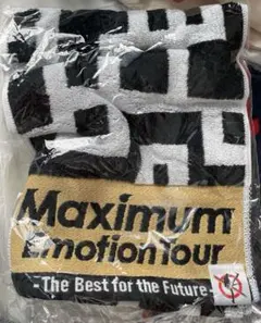 2026年最新】布袋寅泰 ツアーグッズの人気アイテム - メルカリ