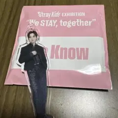 2026年最新】Stray Kids リノ ミニアクスタの人気アイテム - メルカリ