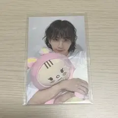 2026年最新】ジョンハン ぬいぐるみ トラムの人気アイテム - メルカリ