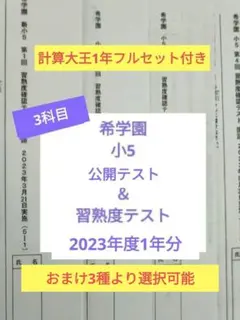 2026年最新】希学園 公開テスト 小5の人気アイテム - メルカリ