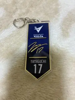 2026年最新】長崎ヴェルカ サインの人気アイテム - メルカリ