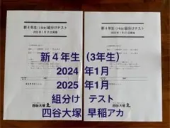 2026年最新】四谷大塚 月例テスト 3年の人気アイテム - メルカリ
