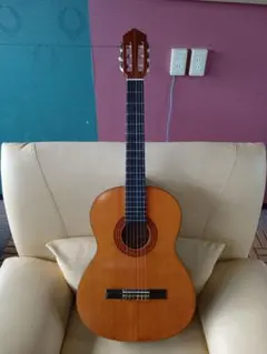 2026年最新】Zenn アコースティックギターの人気アイテム - メルカリ