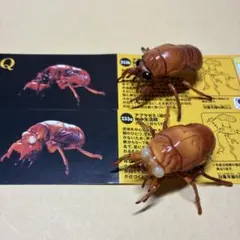 2026年最新】チョコq 11弾の人気アイテム - メルカリ