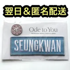 2026年最新】seventeen ワッペンバッジの人気アイテム - メルカリ