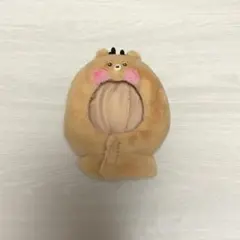 2026年最新】RIIZE ペンライト カバーの人気アイテム - メルカリ