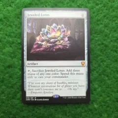 2026年最新】宝石の睡蓮の人気アイテム - メルカリ