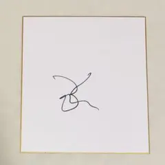 2026年最新】ブラッドピット サインの人気アイテム - メルカリ