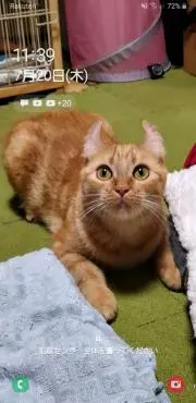 専用出品】りーしゃん様専用 - メルカリ