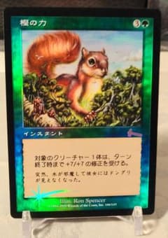 MTG ユートピアの木 樫の力 春分 3枚セット