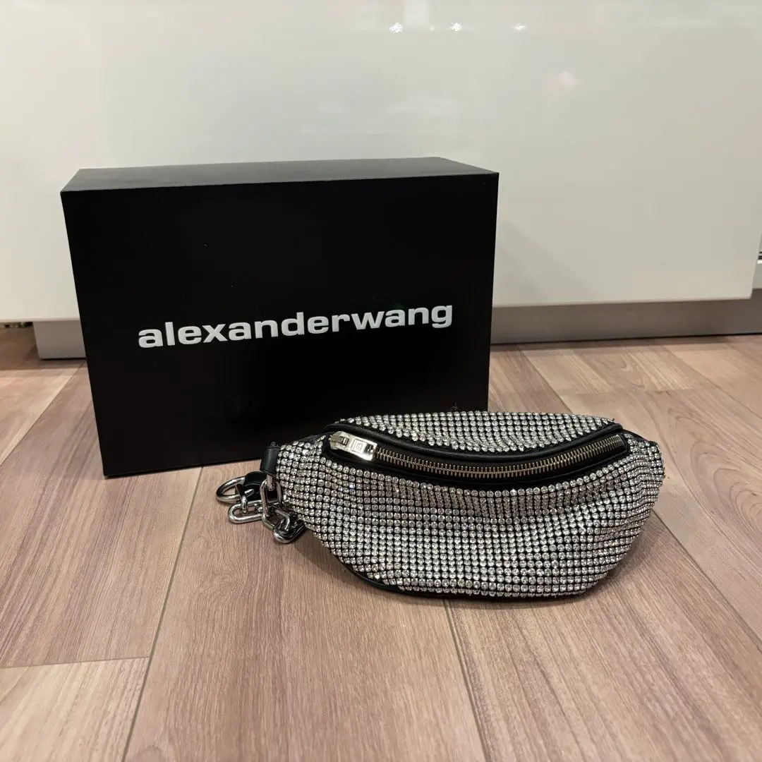 2026年最新】ALEXANDER wang バッグ ラインストーンの人気アイテム