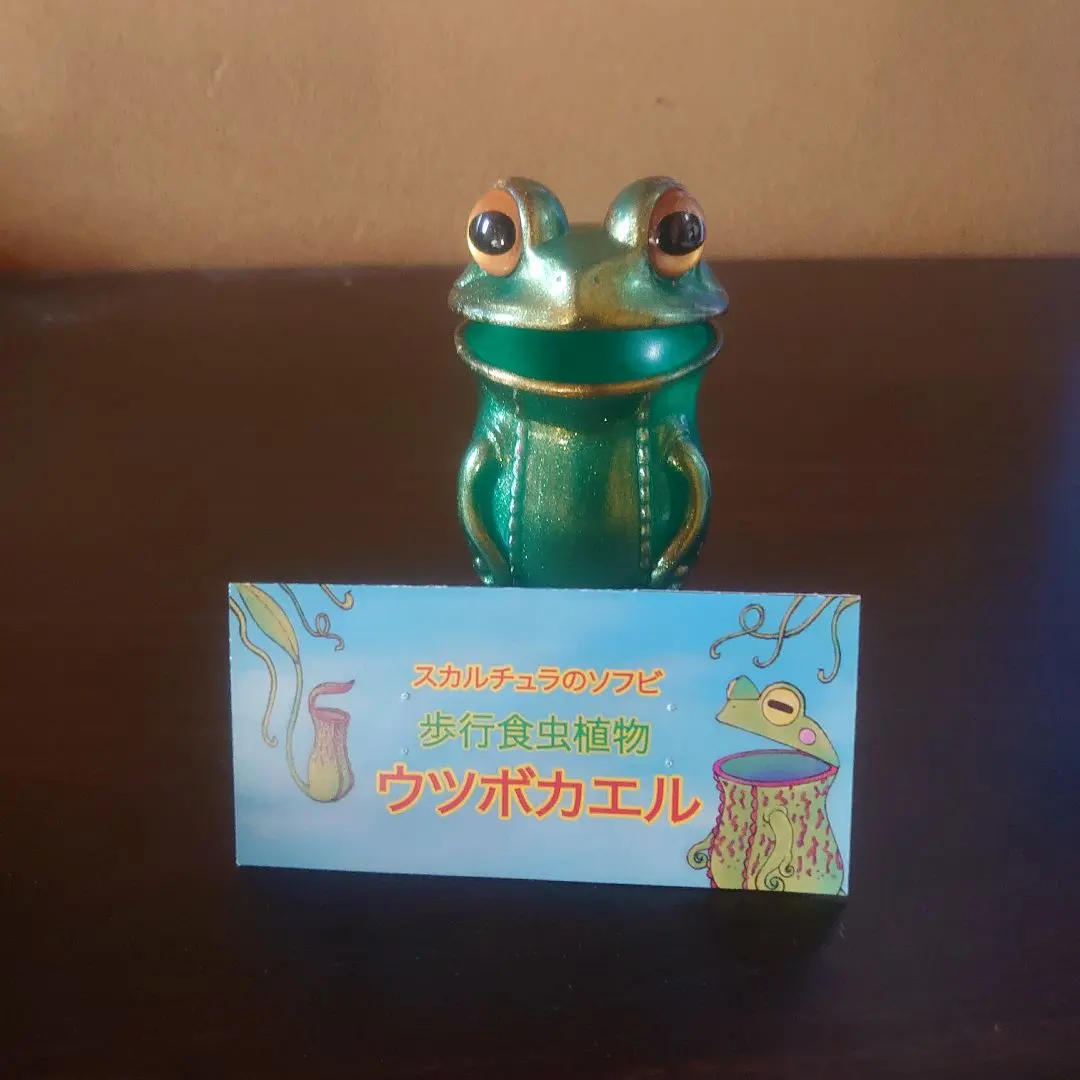 2026年最新】スカルチュラの人気アイテム - メルカリ