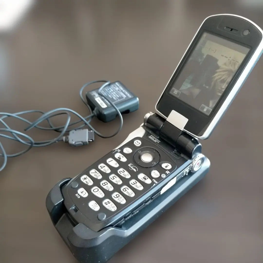 2026年最新】P900iVの人気アイテム - メルカリ