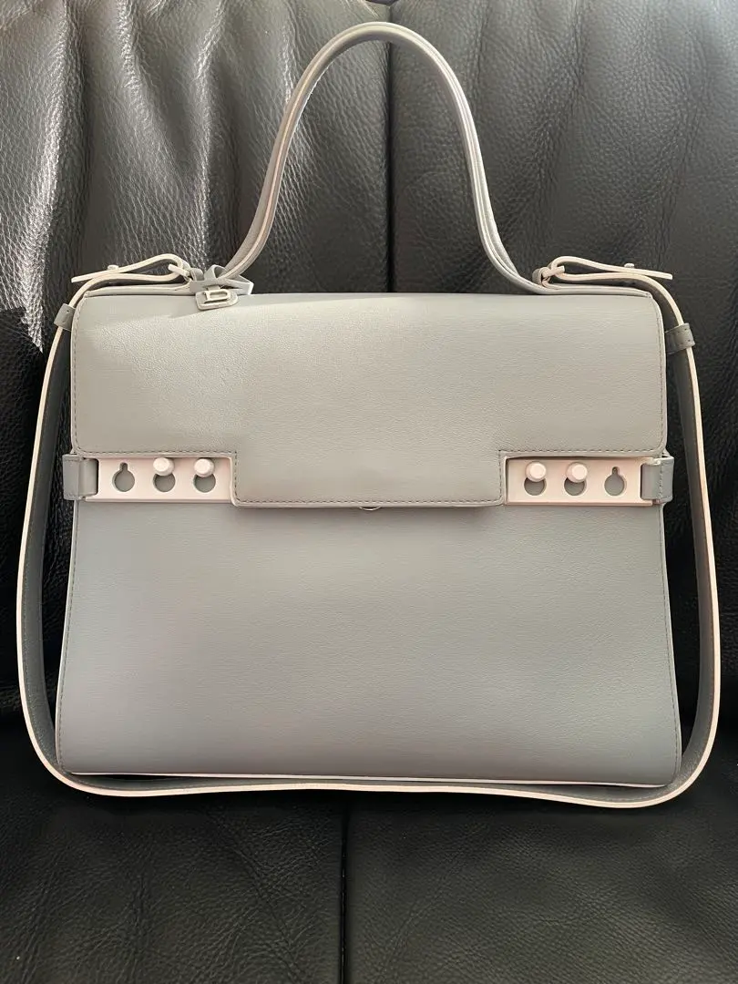 2026年最新】delvaux タンペートgmの人気アイテム - メルカリ