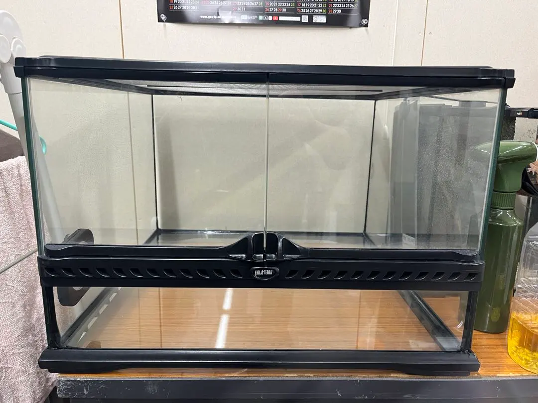 2026年最新】グラステラリウム4530の人気アイテム - メルカリ