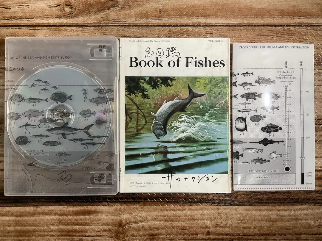 2026年最新】サカナクション 魚図鑑 完全生産限定盤 プレミアムの人気