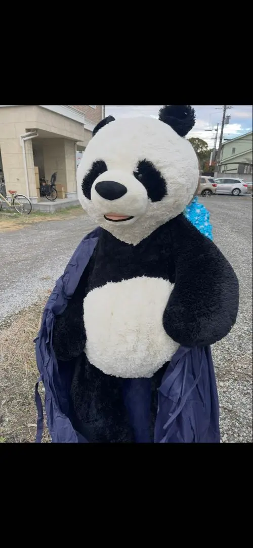2026年最新】コストコ パンダ ぬいぐるみの人気アイテム - メルカリ