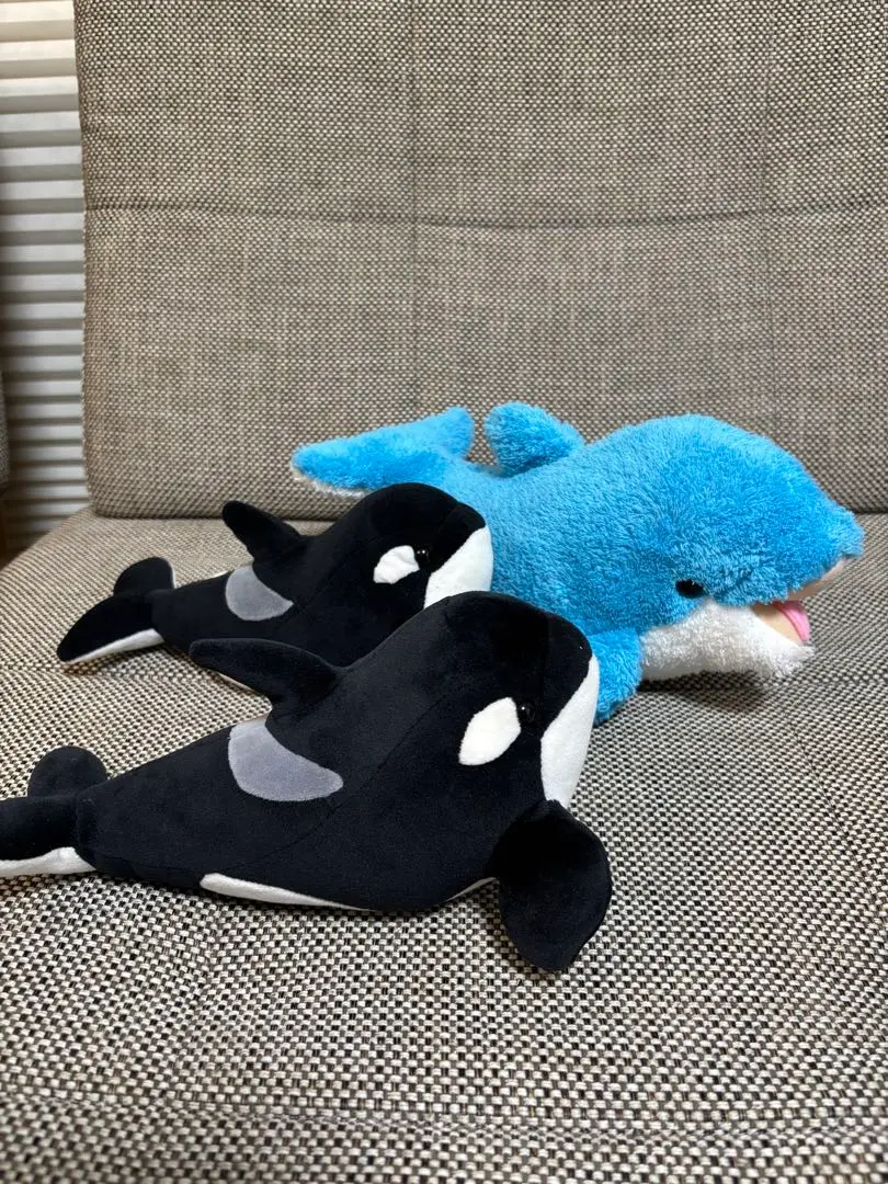 2026年最新】名古屋港水族館 シャチくじの人気アイテム - メルカリ