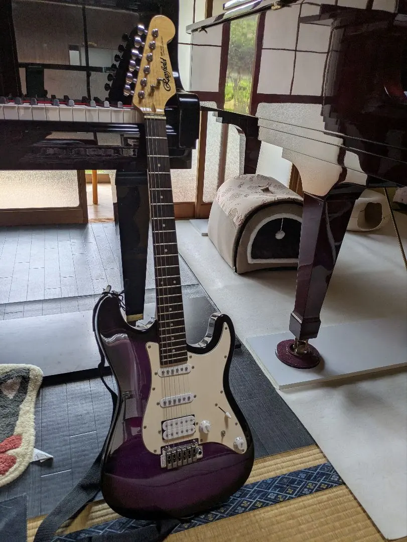 2026年最新】rayfield ギターの人気アイテム - メルカリ