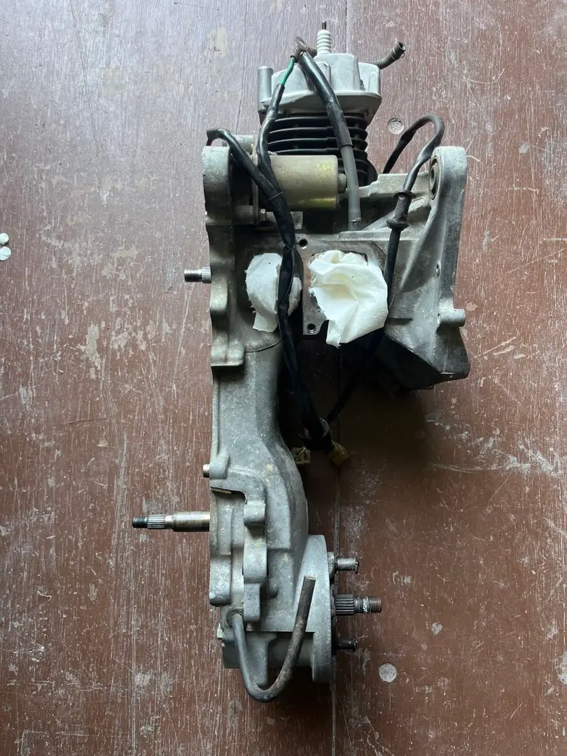 2026年最新】限定 ライブディオzxの人気アイテム - メルカリ