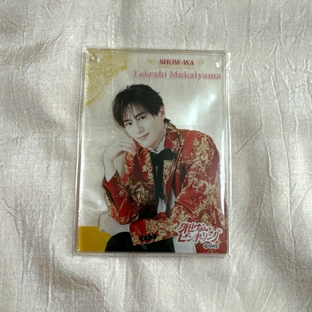 2026年最新】向山毅 アクスタの人気アイテム - メルカリ