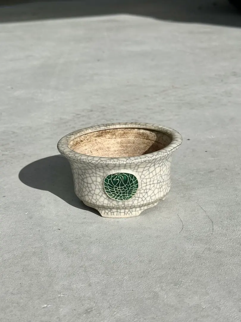 2026年最新】美功鉢の人気アイテム - メルカリ