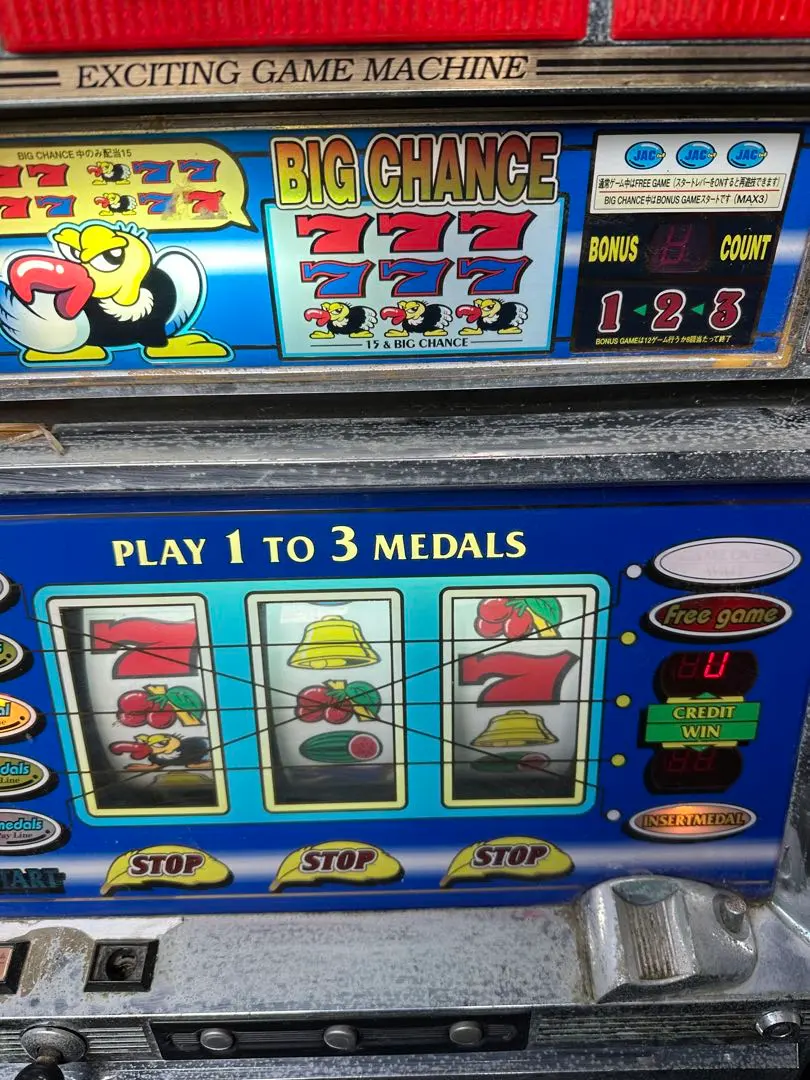 m21526126587_1.jpg?1761227375