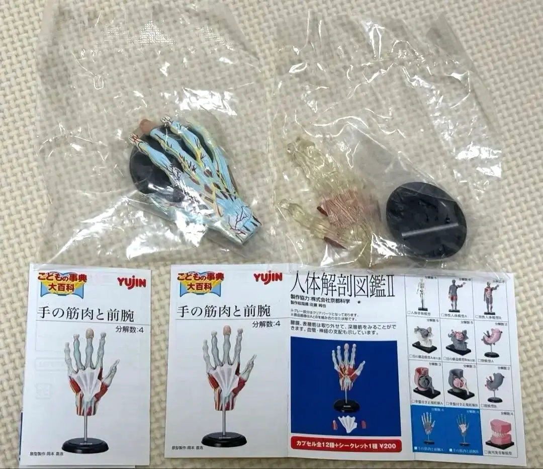 2026年最新】人体解剖図鑑 ユージンの人気アイテム - メルカリ