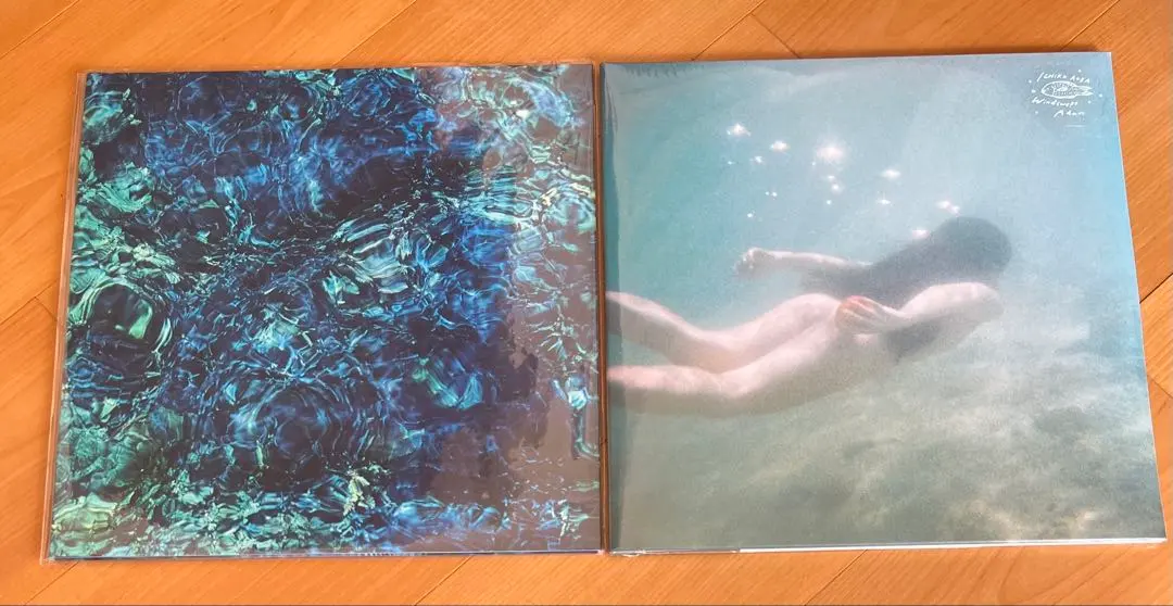 2026年最新】アダンの風 レコードの人気アイテム - メルカリ