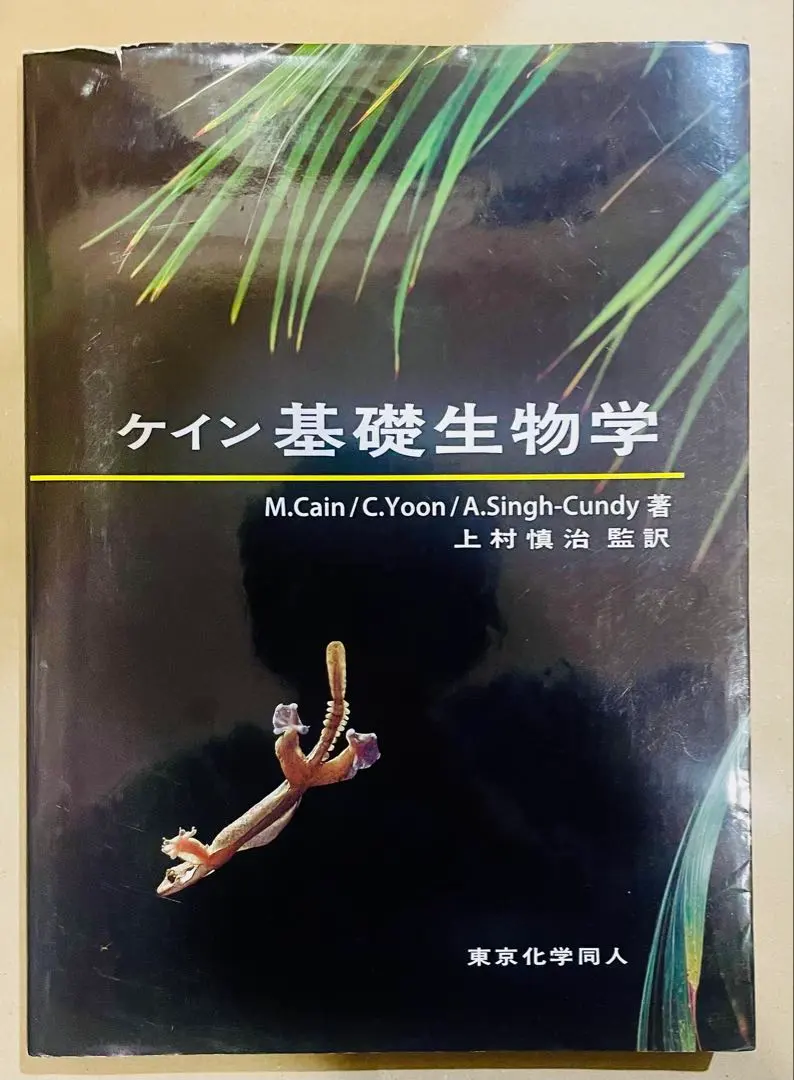2026年最新】ケイン 生物学の人気アイテム - メルカリ