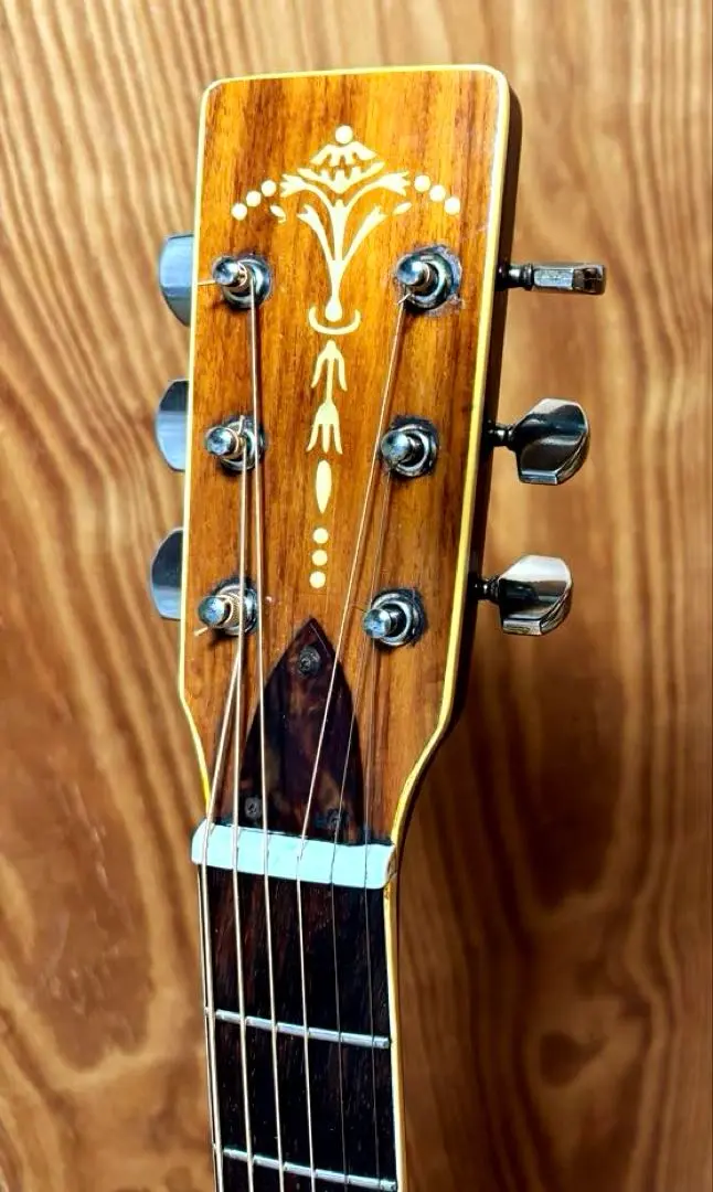 2026年最新】木曽 ギターの人気アイテム - メルカリ