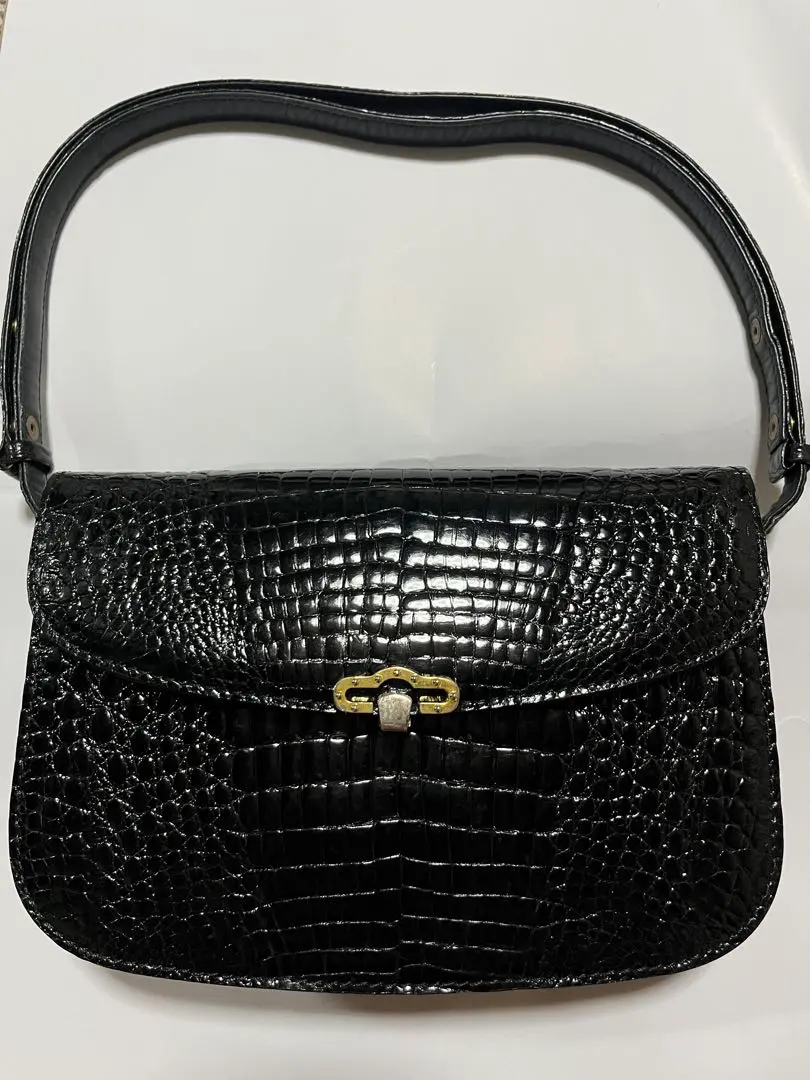2026年最新】genuine crocodile skin バッグの人気アイテム - メルカリ