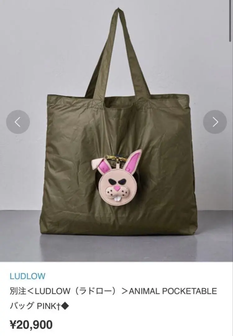 2026年最新】LUDLOW エコバッグの人気アイテム - メルカリ