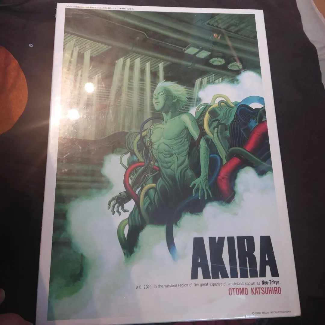 2026年最新】AKIRA ジグソーパズルの人気アイテム - メルカリ