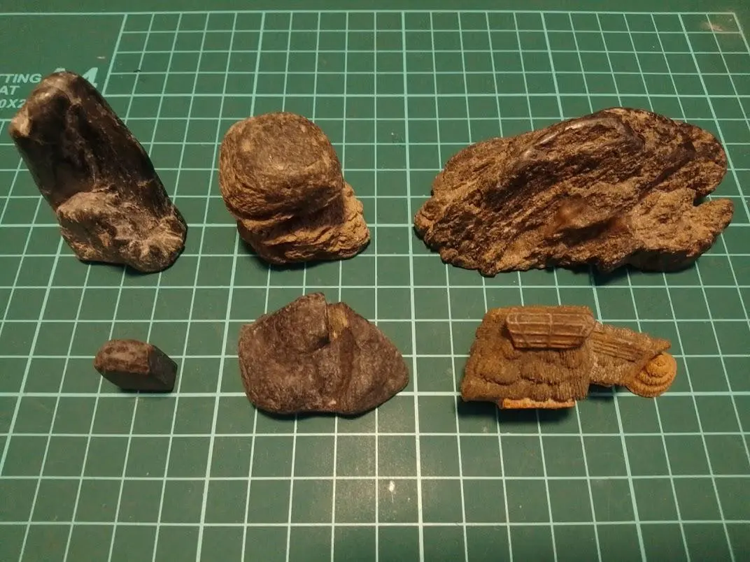 2026年最新】盆石セットの人気アイテム - メルカリ