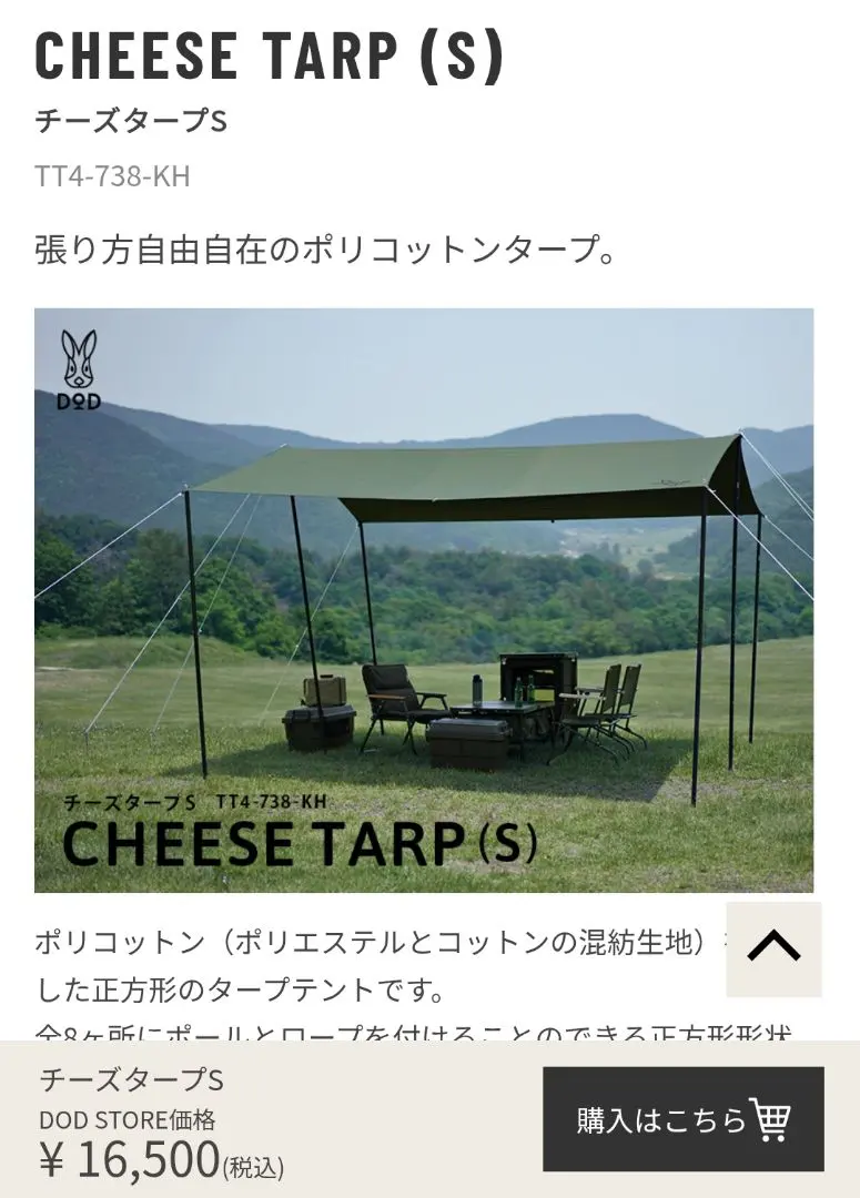 2026年最新】チーズタープsの人気アイテム - メルカリ