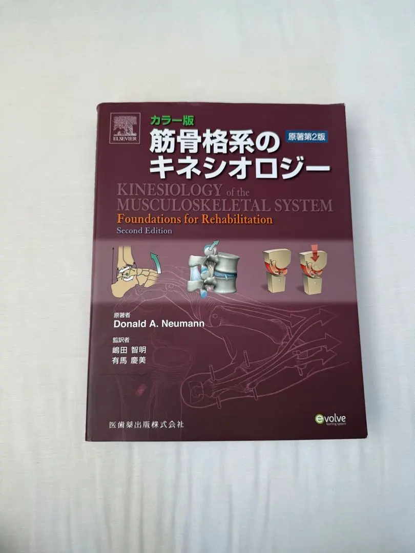 2026年最新】筋骨格系のキネシオロジー 原著第3版の人気アイテム