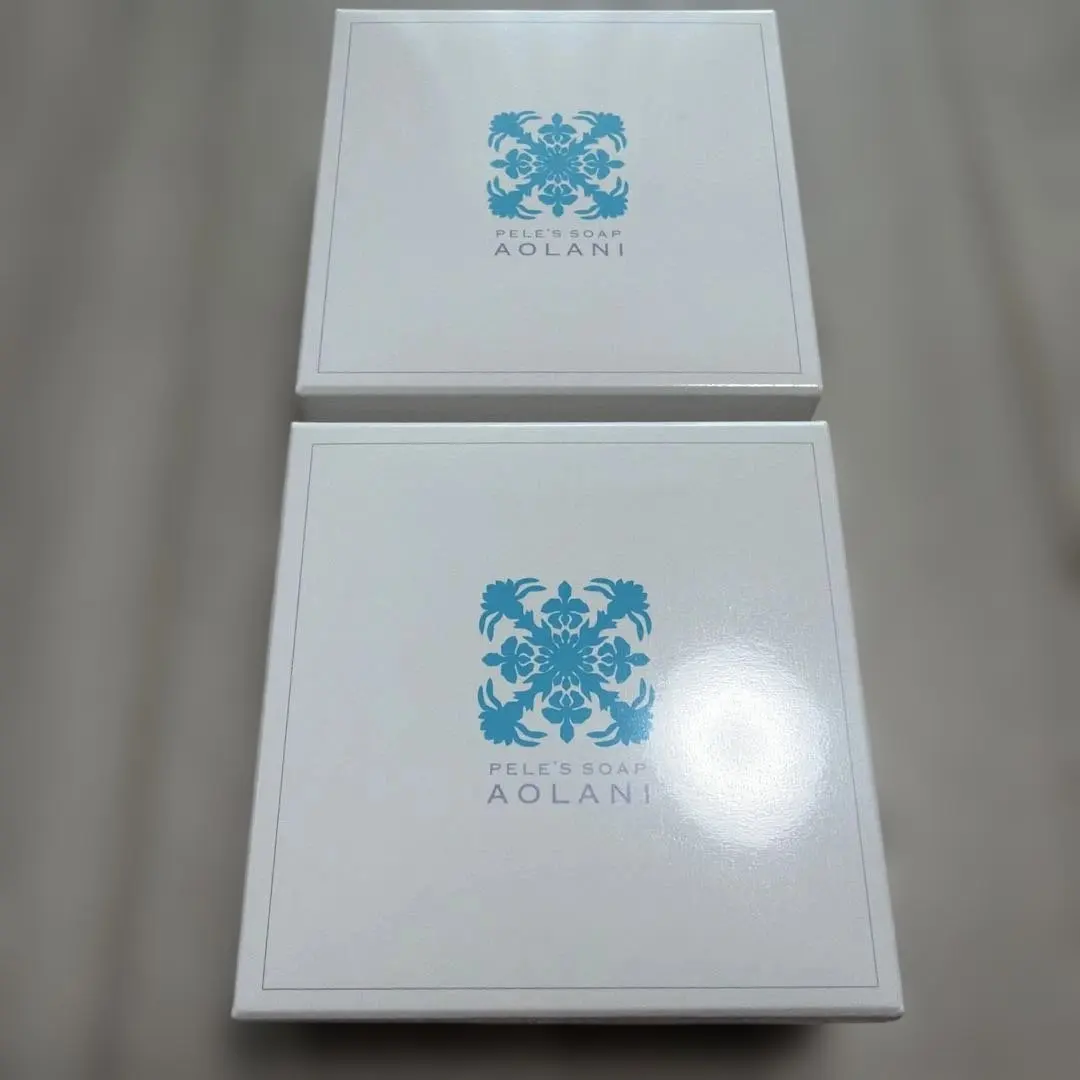 2026年最新】ペレグレイス アオラニの人気アイテム - メルカリ