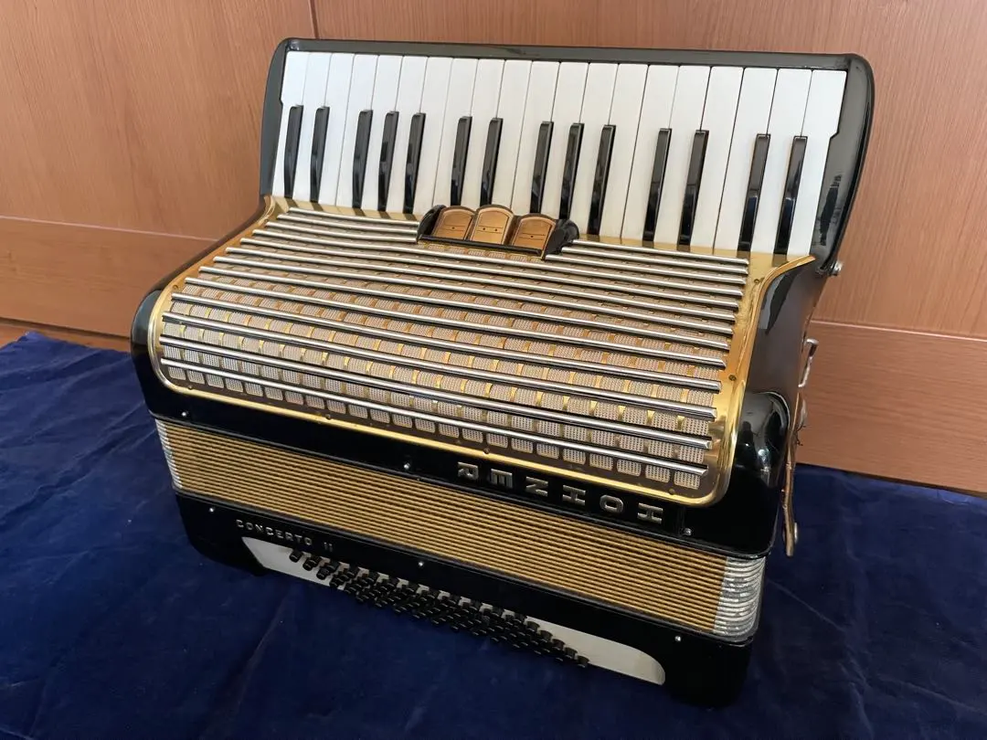 2026年最新】hohner アコーディオンの人気アイテム - メルカリ