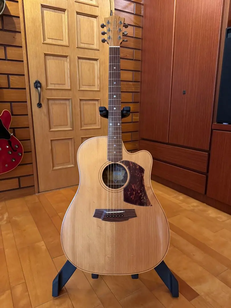 2026年最新】cole clark flの人気アイテム - メルカリ