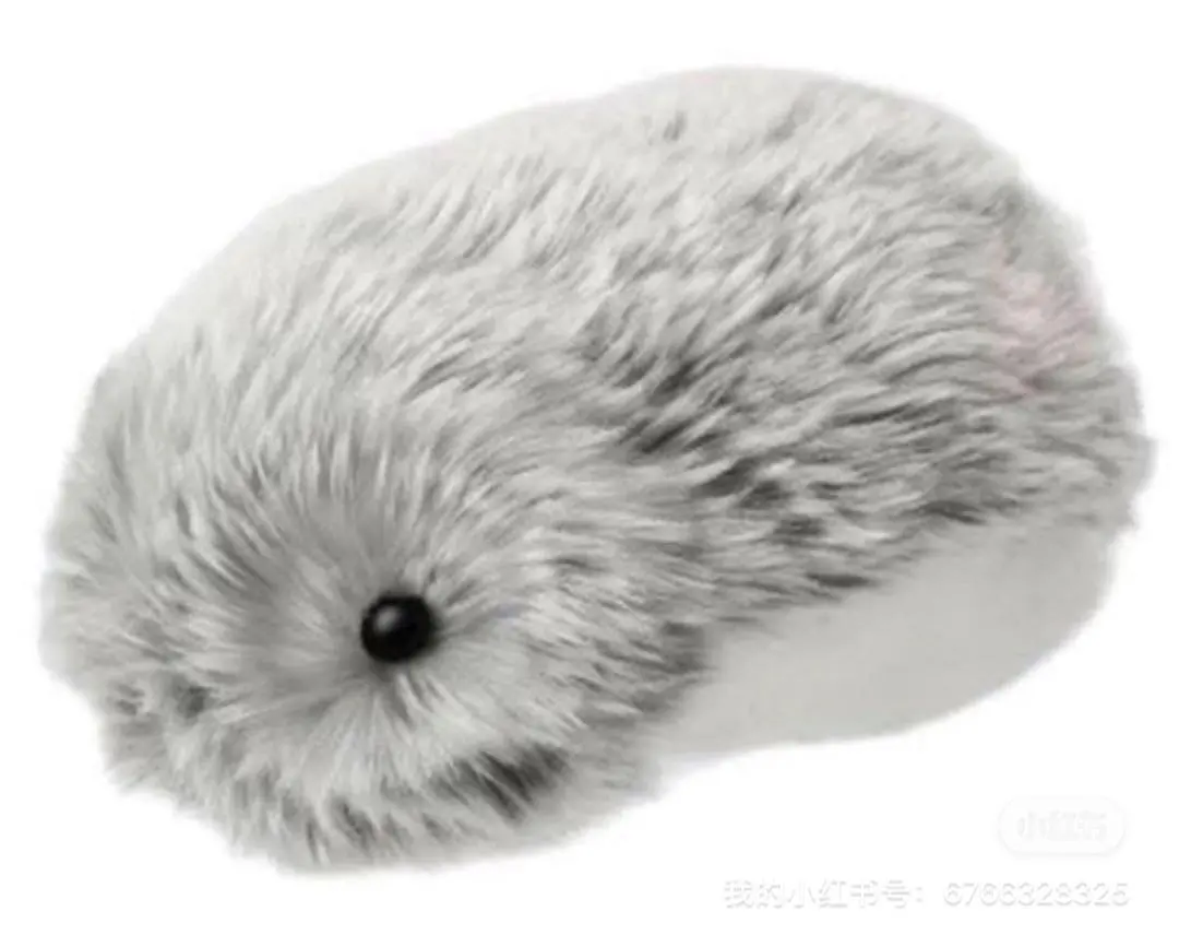 2026年最新】CASIO ぬいぐるみ本体の人気アイテム - メルカリ