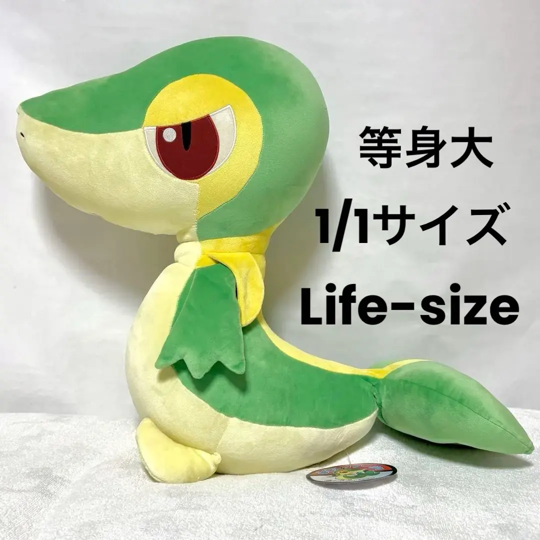 2026年最新】等身大 ツタージャの人気アイテム - メルカリ