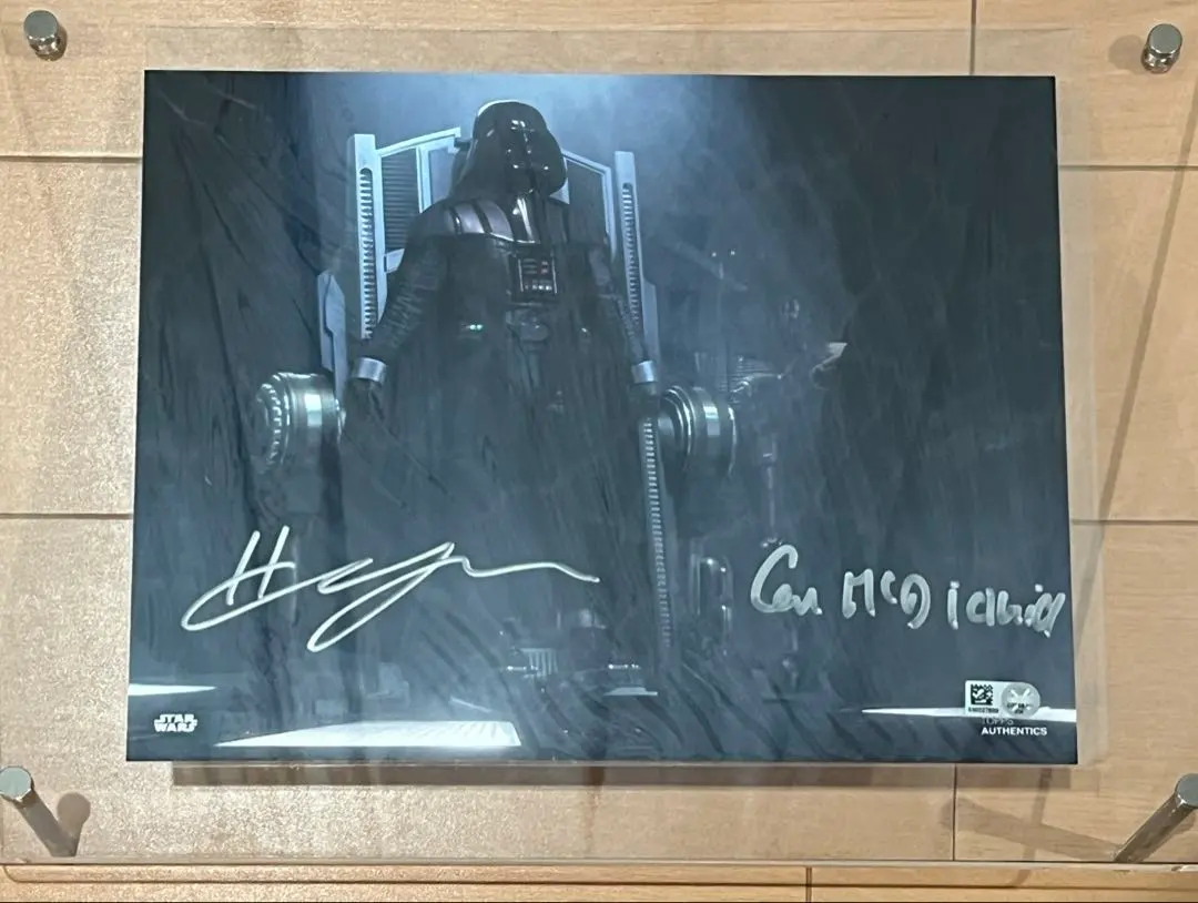 2026年最新】ベイダー サインの人気アイテム - メルカリ