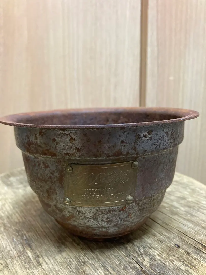 2026年最新】masses 鉢 m&mの人気アイテム - メルカリ