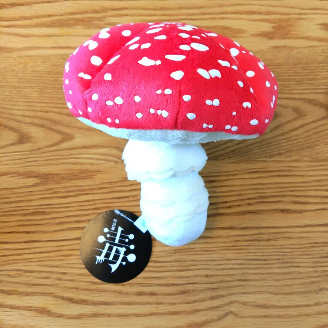 2026年最新】毒展 ベニテングタケの人気アイテム - メルカリ