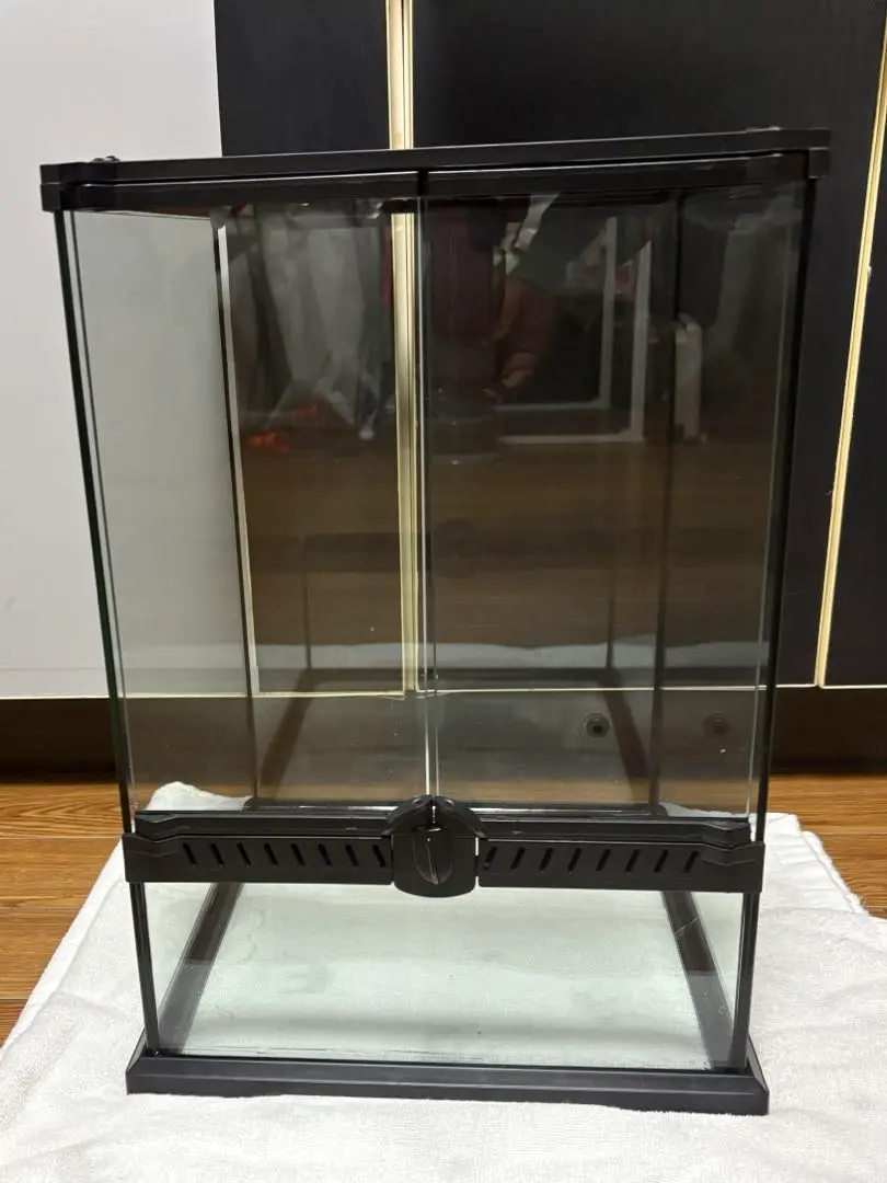 2026年最新】レインフォレストタンクの人気アイテム - メルカリ