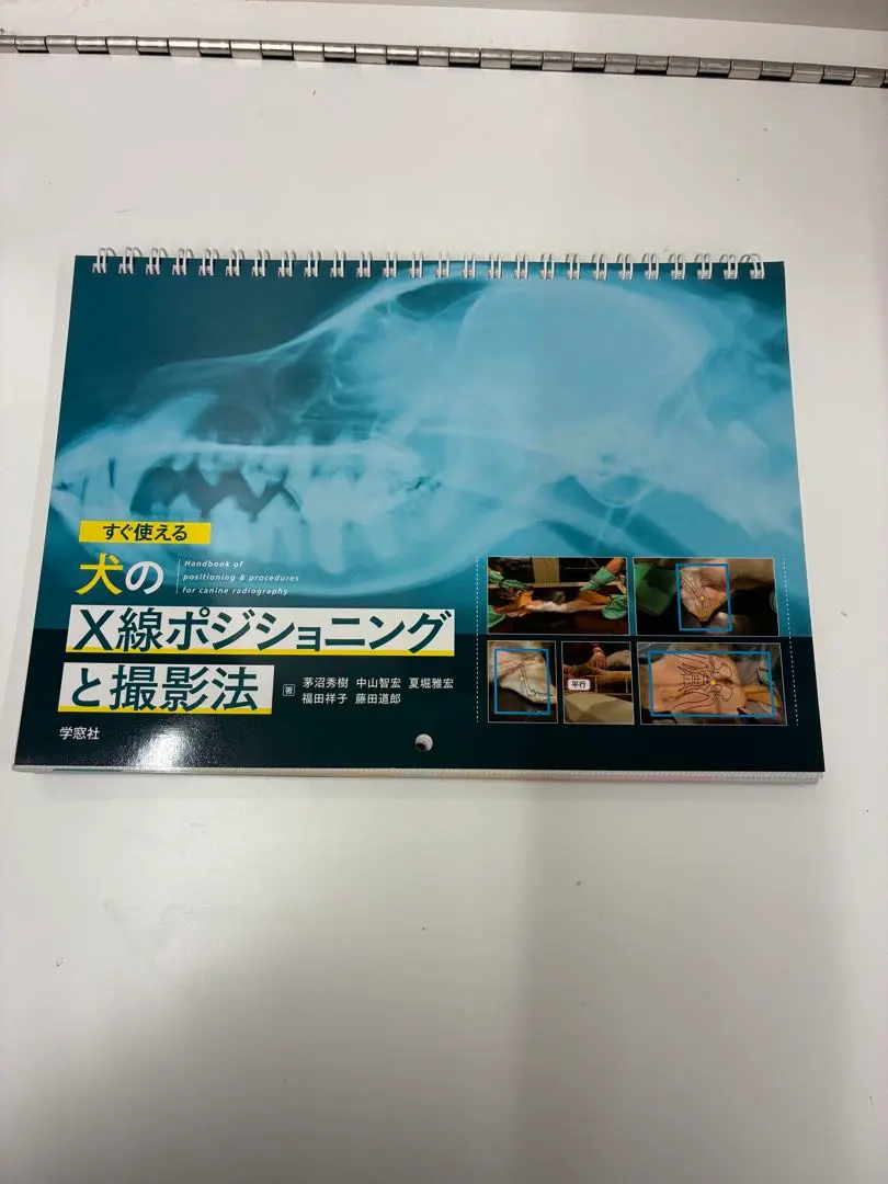 2026年最新】x線撮影のポジショニングの人気アイテム - メルカリ