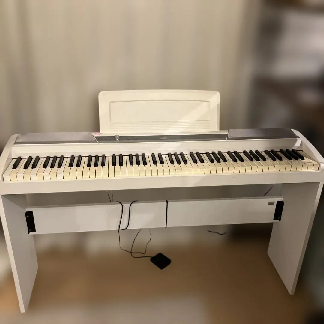 2026年最新】KORG SP-170の人気アイテム - メルカリ
