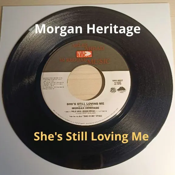 2026年最新】PERFECT LOVE song morganの人気アイテム - メルカリ